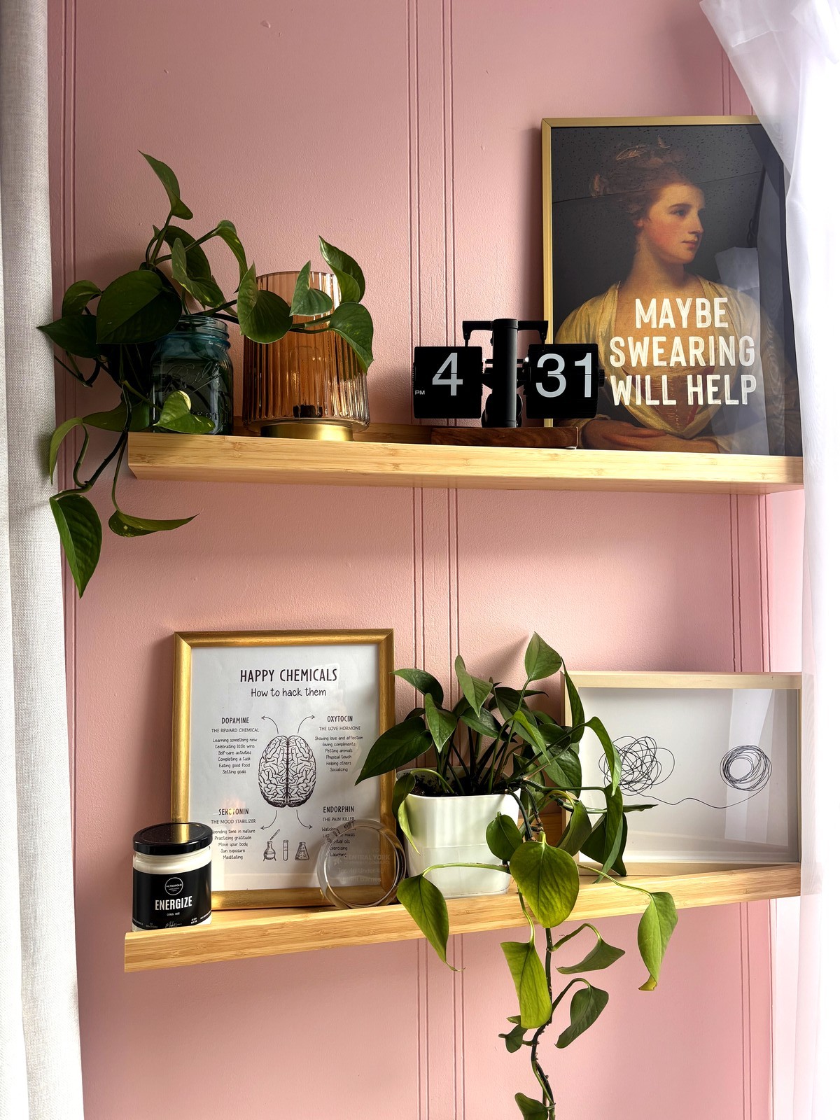 Ontario Therapy office detail — shelves, plants